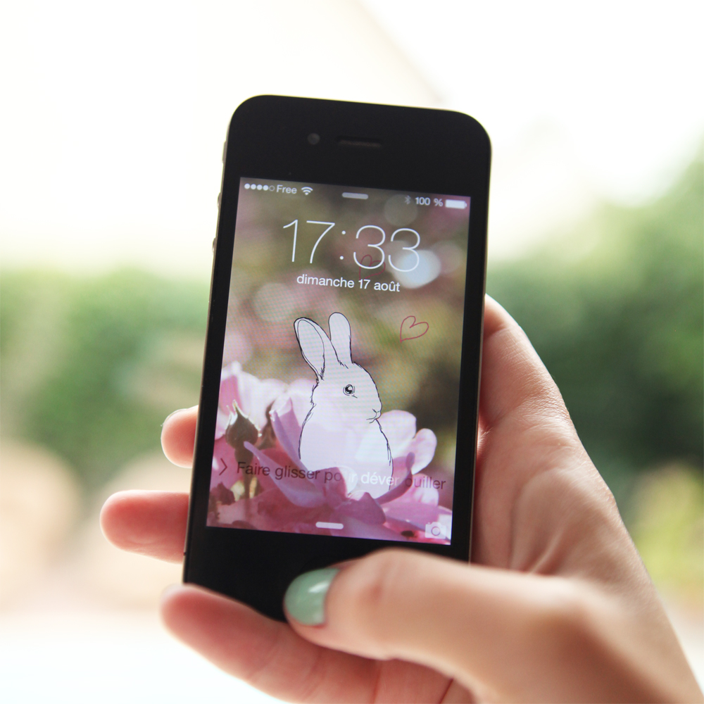 Dont-mess-with-the-rabbit-summer-fond-écran